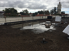 Pond on roof of Engineering Building